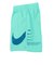 ナイキ（NIKE）水陸両用 グラフィック スペック 7 ボレーショーツ NESSF508-N448