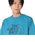 ザ・ノース・フェイス（THE NORTH FACE）ショートスリーブ イーエス ビッグロゴ 半袖 Tシャツ NT32581 DL