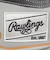 ローリングス（Rawlings）軟式用グラブ 外野手用 野球グローブ 一般 HOH MLB COシンク GR6HMY795FW-DSHA/GRY