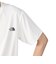 ザ・ノース・フェイス（THE NORTH FACE）ショートスリーブ ハーフドームトポ Tシャツ NT32589 GS