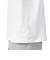ザ・ノース・フェイス（THE NORTH FACE）ショートスリーブ ハーフドームトポ Tシャツ NT32589 GS