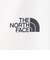 ザ・ノース・フェイス（THE NORTH FACE）ショートスリーブ ハーフドームトポ Tシャツ NT32589 GS