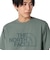 ザ・ノース・フェイス（THE NORTH FACE）ショートスリーブ イーエス ビッグロゴ 半袖 Tシャツ NT32581 DG