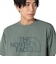 ザ・ノース・フェイス（THE NORTH FACE）ショートスリーブ イーエス ビッグロゴ 半袖 Tシャツ NT32581 DG