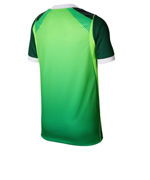 ナイキ（NIKE）ナイジェリア 2026 ホーム レプリカユニフォーム ドライ