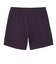ザ・ノース・フェイス（THE NORTH FACE）フレキシブルショーツ 7inch NB22581 ED