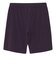 ザ・ノース・フェイス（THE NORTH FACE）フレキシブルショーツ 11inch NB22583 ED