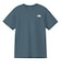ザ・ノース・フェイス（THE NORTH FACE）半袖 ES フラワーボックスロゴTシャツ NT32685 SL