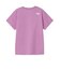 ザ・ノース・フェイス（THE NORTH FACE）ショートスリーブ ES マウンテンロゴTシャツ NTW32686 V