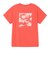 ザ・ノース・フェイス（THE NORTH FACE）ショートスリーブ ES フラワーボックスロゴTシャツ NTW32685 HC
