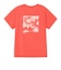 ザ・ノース・フェイス（THE NORTH FACE）ショートスリーブ ES フラワーボックスロゴTシャツ NTW32685 HC