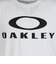 オークリー（OAKLEY）Enhance Qdevo O Bark 5.0 半袖Tシャツ FOA409023-100