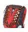 ローリングス（Rawlings）ソフトボール用グラブ グローブ オールラウンド用 ソフト HOH DP カラーズ S66 右投用 GS6HDS66-SC/N