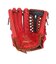 ローリングス（Rawlings）ソフトボール用グラブ グローブ オールラウンド用 ソフト HOH DP カラーズ S66 左投用 GS6HDS66-SC/N-…