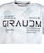 ドライプラス スループラス AUTHENTIC GRT 半袖Tシャツ CT6S0040-TR863-GRES WHT