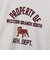 チャンピオン-ヘリテイジ（CHAMPION-HERITAGE）リバースウィーブ ショートスリーブTシャツ C3-D303 810