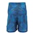 ドライプラススループラス AUTHENTIC GRT2 ジャムショーツ PT6S0044-TR866-GRES BLU