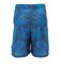 ドライプラススループラス AUTHENTIC GRT2 ジャムショーツ PT6S0044-TR866-GRES BLU