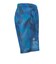 ドライプラススループラス AUTHENTIC GRT2 ジャムショーツ PT6S0044-TR866-GRES BLU