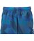 ドライプラススループラス AUTHENTIC GRT2 ジャムショーツ PT6S0044-TR866-GRES BLU