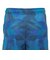 ドライプラススループラス AUTHENTIC GRT2 ジャムショーツ PT6S0044-TR866-GRES BLU