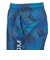 ドライプラススループラス AUTHENTIC GRT2 ジャムショーツ PT6S0044-TR866-GRES BLU