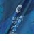 ドライプラススループラス AUTHENTIC GRT2 ジャムショーツ PT6S0044-TR866-GRES BLU