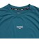 デュアリグ（DUARIG）ドライプラススループラス HI-LIGHT 半袖Tシャツ 6S0001-TRCT-863DSH DGRN