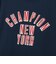チャンピオン-ヘリテイジ（CHAMPION-HERITAGE）ショートスリーブTシャツ C3-D316 352