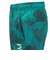 ドライプラススループラス AUTHENTIC GRT2 ジャムショーツ PT6S0044-TR866-GRES TQG