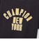 チャンピオン-ヘリテイジ（CHAMPION-HERITAGE）ショートスリーブTシャツ C3-D316 055