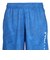ドライプラス スループラス AUTHENTIC GRT1 ジャムショーツ PT6S0043-TR866-GRES BLU