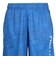 ドライプラス スループラス AUTHENTIC GRT1 ジャムショーツ PT6S0043-TR866-GRES BLU