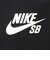 ナイキ（NIKE）SBロゴ スケートボード 半袖Tシャツ LBR DC7818-013