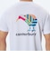 カンタベリー（canterbury）ショートスリーブ アグリーキウイトレーニング Tシャツ RGM32607 W