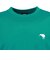 カンタベリー（canterbury）UGLY KIWI 半袖Tシャツ RSU32633 JD