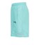 アンダーアーマー（UNDER ARMOUR）TECH UTILITY ショーツ 6005117 425