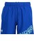 アンダーアーマー（UNDER ARMOUR）ウーブン グラフィック ショーツ 6017960 400