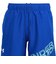 アンダーアーマー（UNDER ARMOUR）ウーブン グラフィック ショーツ 6017960 400