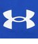 アンダーアーマー（UNDER ARMOUR）ウーブン グラフィック ショーツ 6017960 400