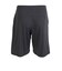 ドライプラスクール シャインブロック UV AUTHENTIC ハーフパンツ PT6S0016-TR866-GRSD CGRY