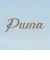 プーマ（PUMA）ESS S ACTIVE グラフィック 半袖Tシャツ 693692 47 BGRY