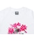 ニューバランス（new balance）ウォーターカラーピンクボクシーTシャツ WT61O9PRWT