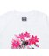 ニューバランス（new balance）ウォーターカラーピンクボクシーTシャツ WT61O9PRWT