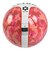 スフィーダ（SFIDA）ジュニア フットサルボール 検定球 INFINITO META SB-26IM04 RED