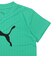 プーマ（PUMA）ジュニア TAD ESS キャット ロゴ 半袖Tシャツ 527188 40 GRN