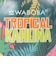 ワボバ（Waboba）トロピカル KAHUNA ウォーターボール