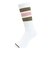 アクター（AKTR）バスケットボール ソックス モンスター 126-018021-WHOL