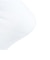 アクター（AKTR）バスケットボール ソックス モンスター 126-018021-WHOL