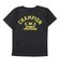 チャンピオン（CHAMPION）半袖Tシャツ ショーツ 上下セット CK-DSW05 090